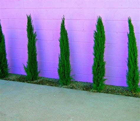 Gerber specializes in providing brick and stone laying services, concrete installations, and masonry repairs. Painting outdoor concrete walls | Lynda Makara