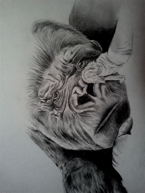 king kong by cyssou1989 on DeviantArt