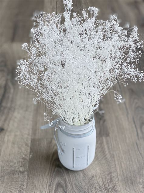 White Dried Baby Breath Real Dried Gypsophila Glittered | Etsy