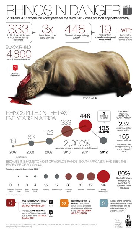 Rhinos In Danger Part 1 Infographic Amazing Zoology