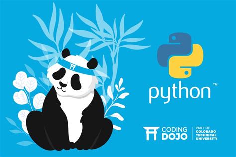 What Is Pandas In Python A Guide For Beginners Coding Dojo