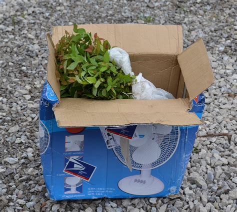 To ship perishable food, start by putting the food in sealed containers and packing them in an insulated box inside a liner bag. How to Ship Plants by U.S. Mail, UPS or Fed Ex.