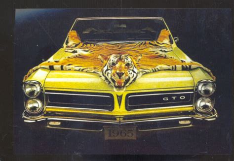 1965 Pontiac Gto Tiger Skin Car Dealer Advertising Postcard Copy Ebay