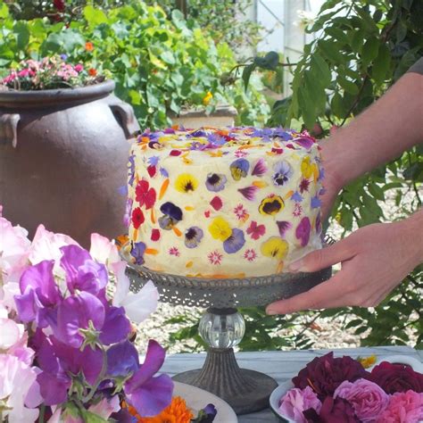 Check spelling or type a new query. Edible Petal Confetti - Fresh Edible Flowers from Maddocks ...