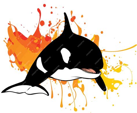 Premium Vector Vector Illustration Of Killer Whale Jumping Out Of Water