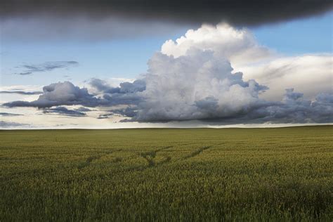 Storm Clouds Over A Grain Field Photograph By Dan Jurak Pixels
