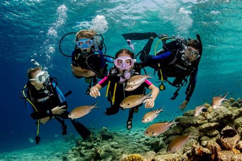 Amed Scuba Bali For The Love Of Diving
