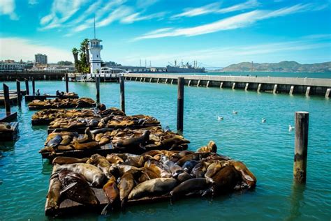 Fishermans Wharf Golden Gate
