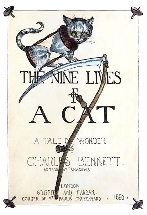 The Nine Lives Of A Cat A Tale Of Wonder 1860 Cats Nine Lives