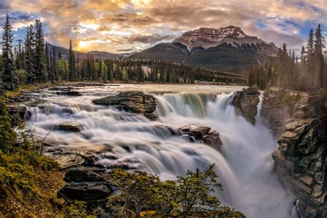 Athabasca Falls Experience Travel Guides