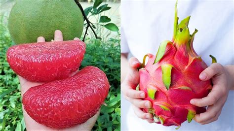 15 Exotic Fruits You Wont Believe Actually Exist Youtube