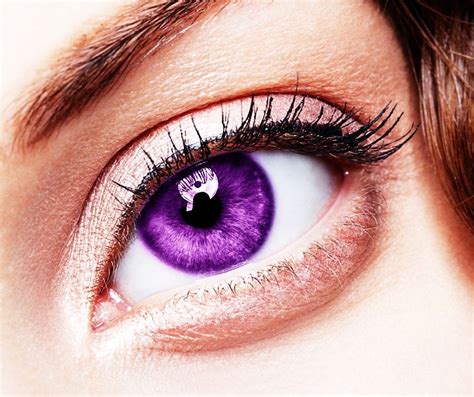 Purple Eye Color Violet Eyes Beautiful Eyes Color Aesthetic Eyes