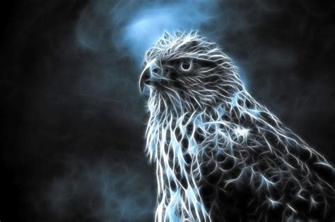 50 Free Eagle Wallpapers And Backgrounds