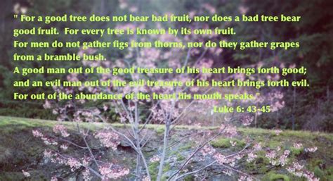 Good Fruit Bad Fruit Best Fruits Words Of Jesus Fruit