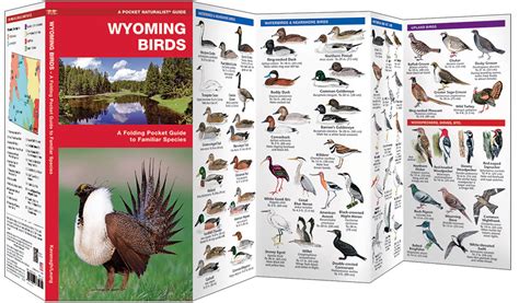 Wyoming Birds Pocket Naturalist Guide