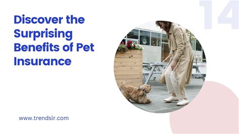 Discover the Surprising Benefits of Pet Insurance | Trendslr