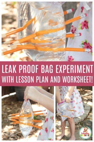 Easy 3 Steps To The Perfect Leak Proof Bag Science Experiment