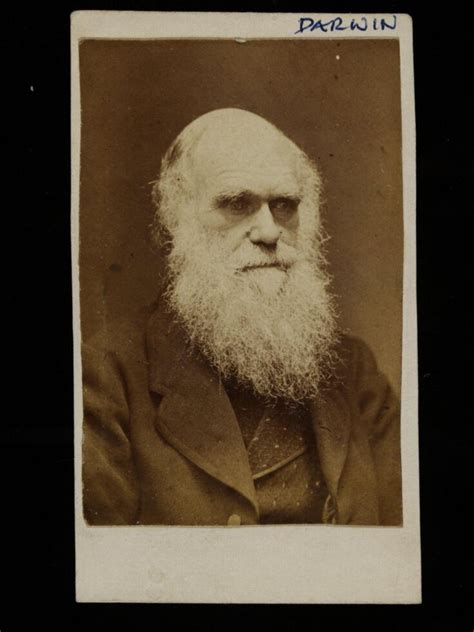 Photograph Of Charles Darwin Vanda Explore The Collections