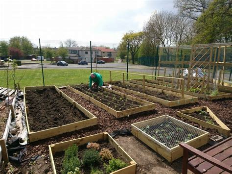 Pin by Mark Murphy on Mark and Veronicas allotment | Plants, Railroad