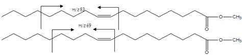 Cleavages Leading To Major Fragment Ions In Oleic Acid Methyl Esters