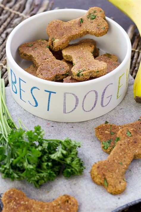 15 homemade dog treats | recipes and instructions. Homemade Vegan Dog Treat Recipe (with Nut Pulp!) | Recipe in 2020 (With images) | Vegan dog ...