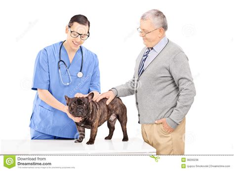 Senior Gentleman Taking His Dog To The Vet Stock Photo Image Of