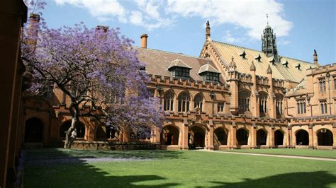 Want To Study At University Of Sydney Studyco