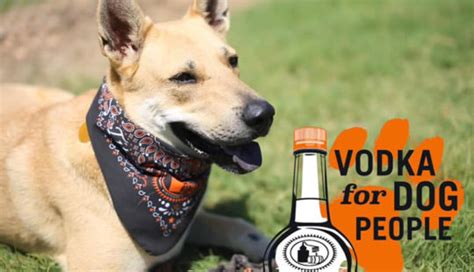 Unlikely Liking Dogs And Vodka Neuromarketing