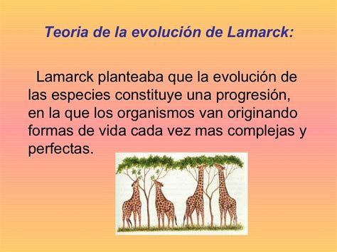 Teorias De La Evolucion De Lamarck Charles