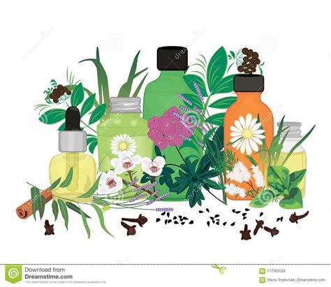 We did not find results for: Set Of Essential Oils Vector Illustration Stock Vector ...