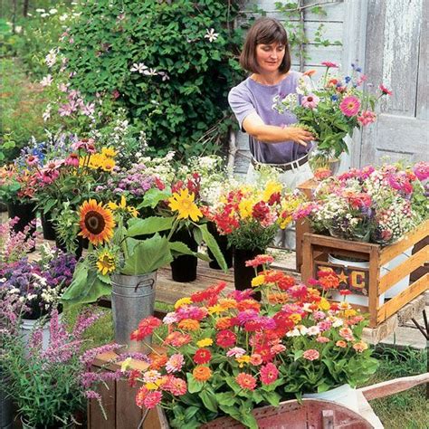 Best cut flowers to grow in south carolina. Grow Flowers for Profit - Organic Gardening | Flower farm ...