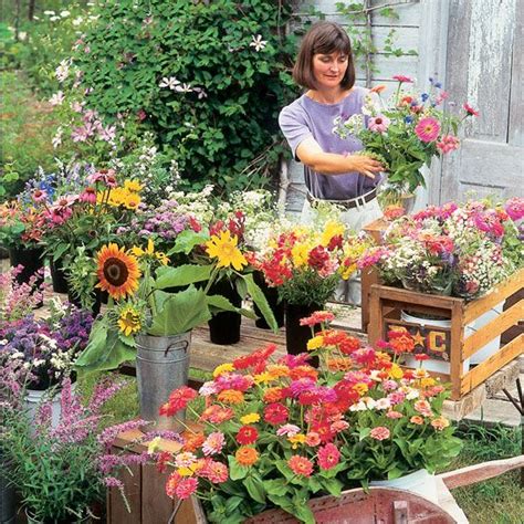 Sep 10, 2010 · in georgia, there are five cold hardiness zones, ranging from zone 6b in the north georgia mountains to zone 8b in southern and coastal georgia (see figure 4). Grow Flowers for Profit - Organic Gardening | Flower farm ...