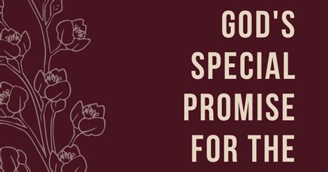 5 Ways To Live Out Gods Special Promise For The New Year