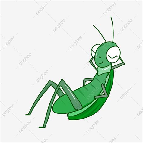 Grasshoppers Hd Transparent Insect Grasshopper Insects Clipart