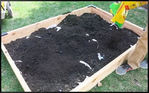 Check spelling or type a new query. My New Raised Beds-Soil - Stephi Gardens