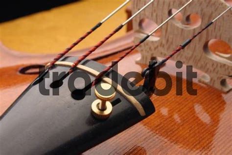 Both are useful for different reasons the thing about tuning a violin is that it's not only about learning how to physically tune the violin, it's also about training your ear to hear if something. Violin tailpiece with fine tuner on the E string ...