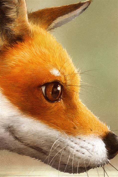 Fox iPhone Wallpaper HD
