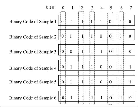 Examples Of Binary Code Download Scientific Diagram