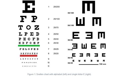 Assess binocular and monocular visual acuity. What To Expect when you bring your child for examination ...