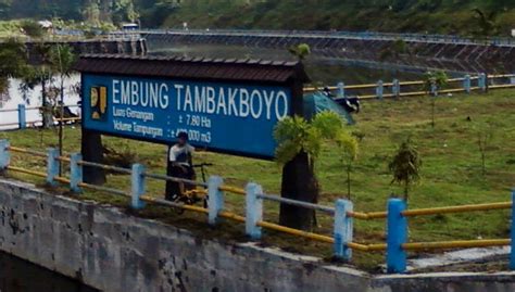 Siaga berani dan tidak putus asa. Embung Tambakboyo | Lokasi, Harga Tiket Masuk 2020, Foto