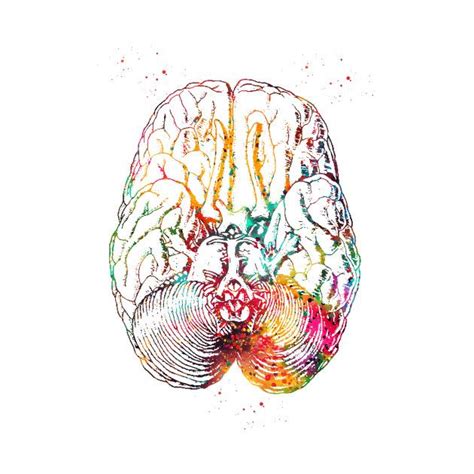 Check Out This Awesome Humanbrainsection Design On Teepublic