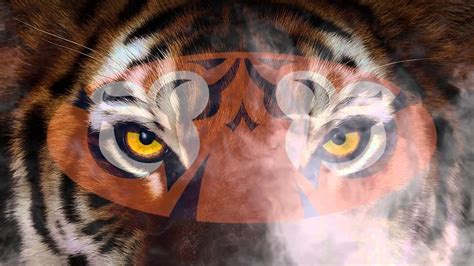Auburn Tigers Wallpaper HD Images