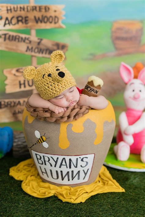 Bryans Winnie The Pooh Tigger Piglet Eeyore 7 Month Birthday Party
