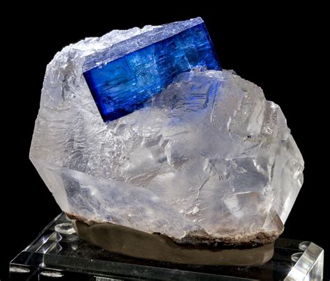 Exquisite Blue Halite Crystals Rocks And Gems Minerals And Gemstones