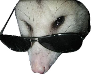 Originating from discord child grooming memes and developing the. opposum | Tumblr