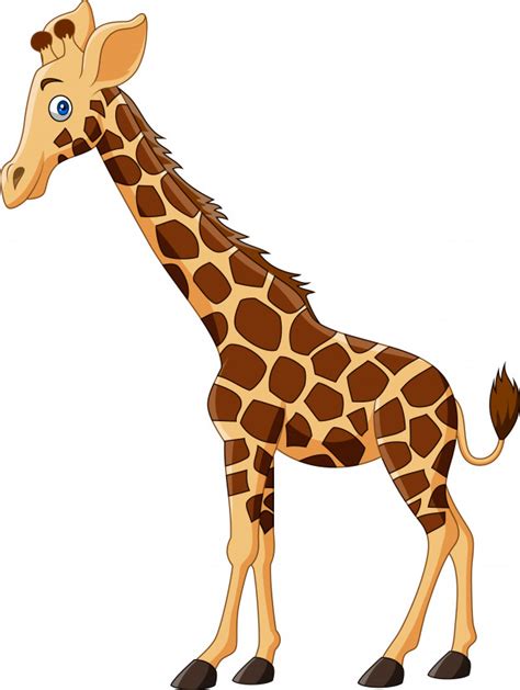 Cartoon Giraffe Isolated On White Background Vector