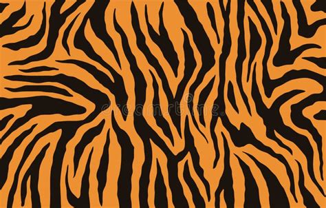 Texture De Fourrure De Tigre De Bengale Mod Le Orange De Rayures Copie