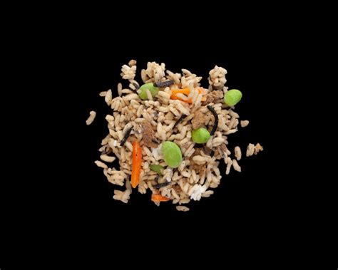 It's also loaded with flavorful spices like garlic, cumin, and coriander. Trader Joe's® Frozen Japanese Fried Rice - Servings 2-4 ...