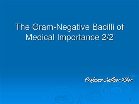 Ppt The Gram Negative Bacilli Of Medical Importance 22 Powerpoint