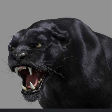 Black Panther Tiger 3d Model